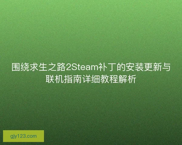 围绕求生之路2Steam补丁的安装更新与联机指南详细教程解析