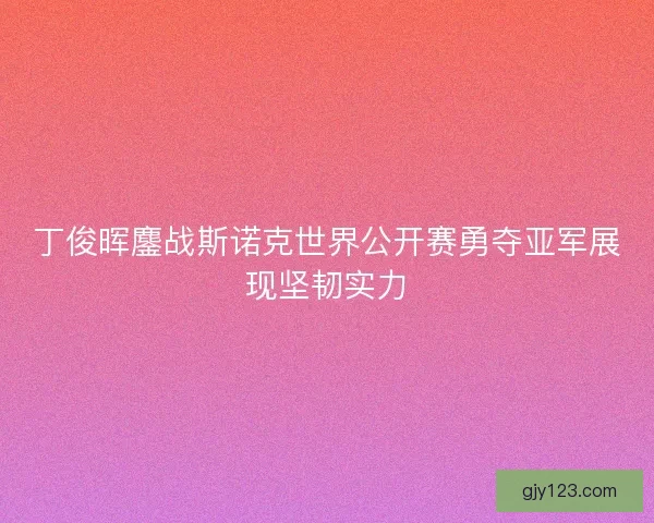丁俊晖鏖战斯诺克世界公开赛勇夺亚军展现坚韧实力
